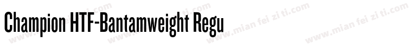 Champion HTF-Bantamweight Regular字体转换